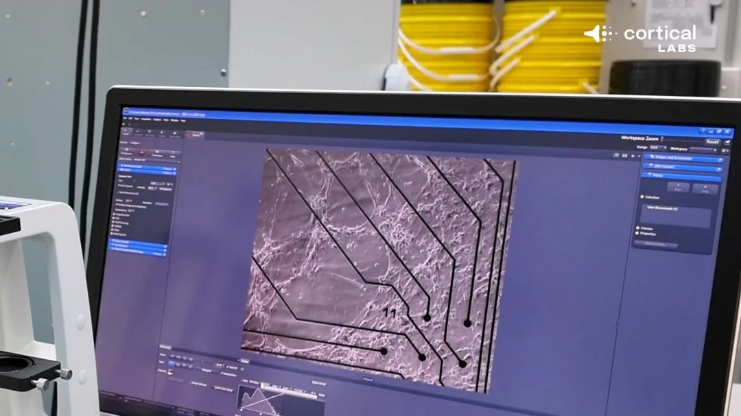 赛季足协杯,定于,月举办,米兰体育会员登录入口,H5米兰体育官网,米兰体育